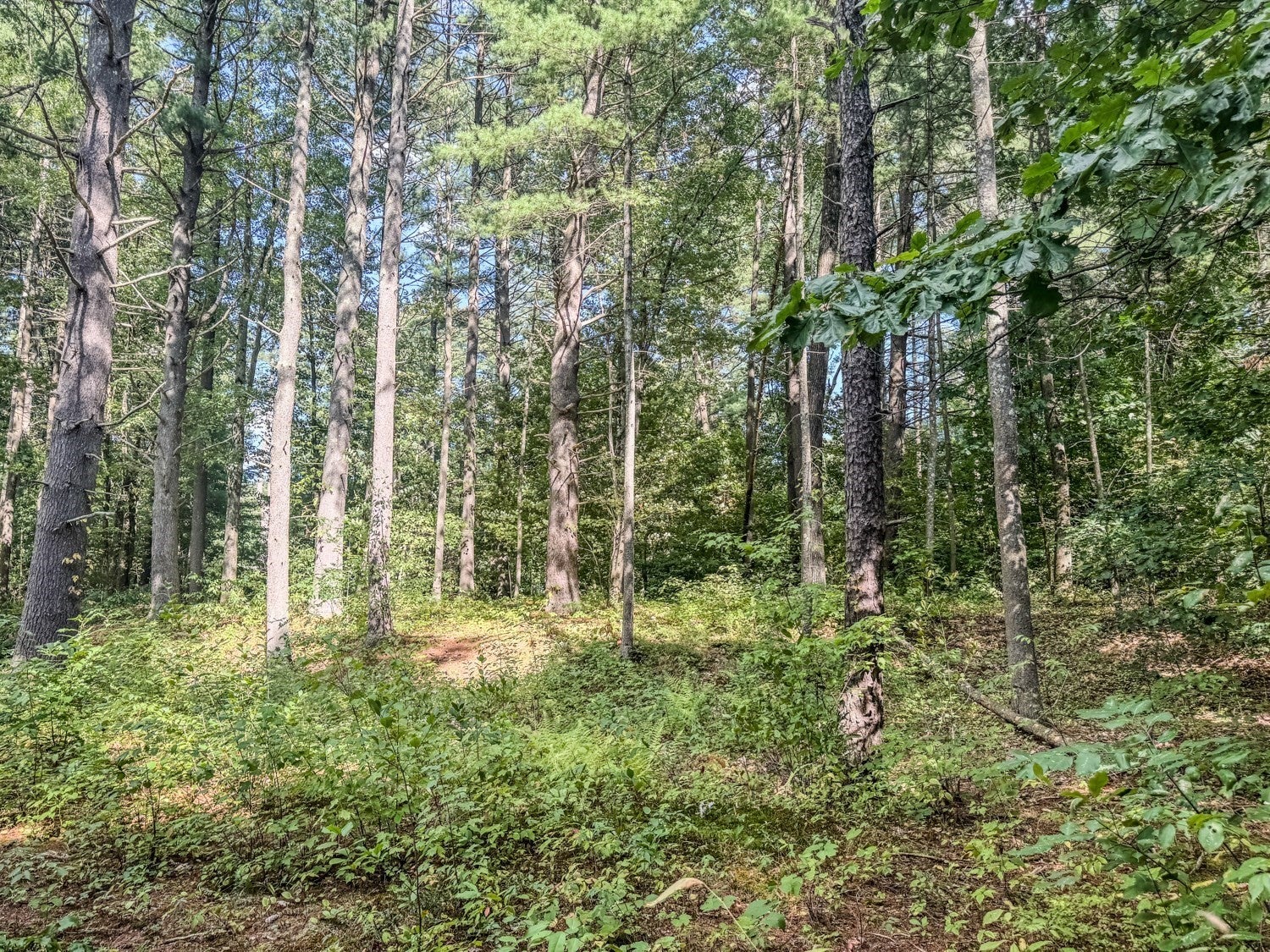 68 Stony Hill Road, Amherst, MA, 68 Stony Hill Road, Amherst, MA Photo #36