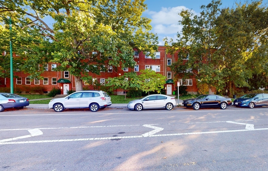 461 Arborway 2
