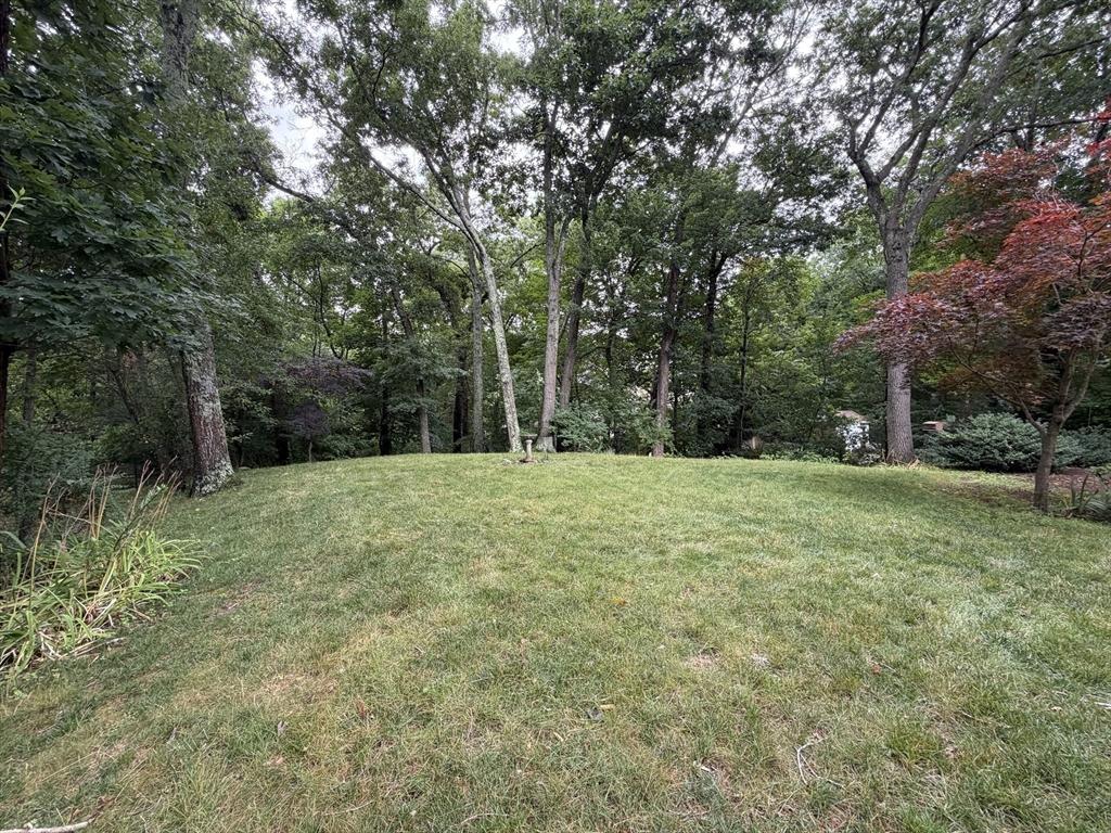 7 Wayne Dr, Foxboro, MA, 7 Wayne Dr, Foxboro, MA Photo #38