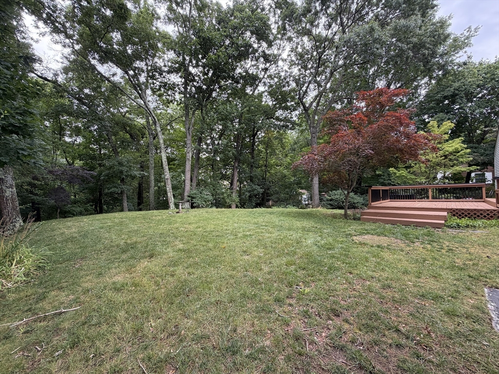 7 Wayne Dr, Foxboro, MA, 7 Wayne Dr, Foxboro, MA Photo #37