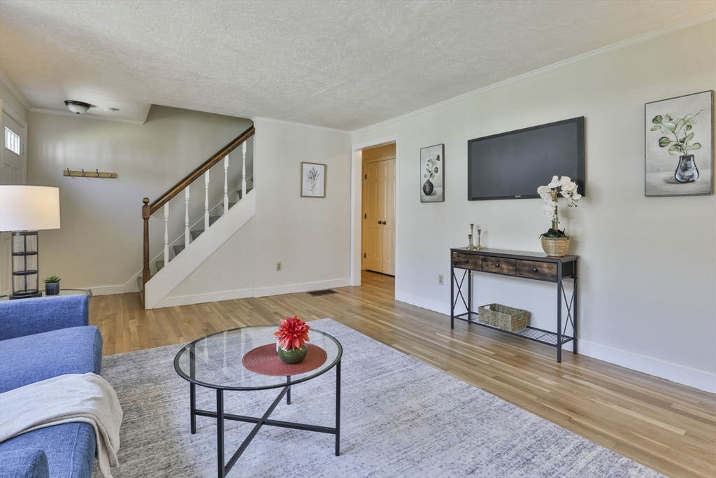 21 Westerly St 3