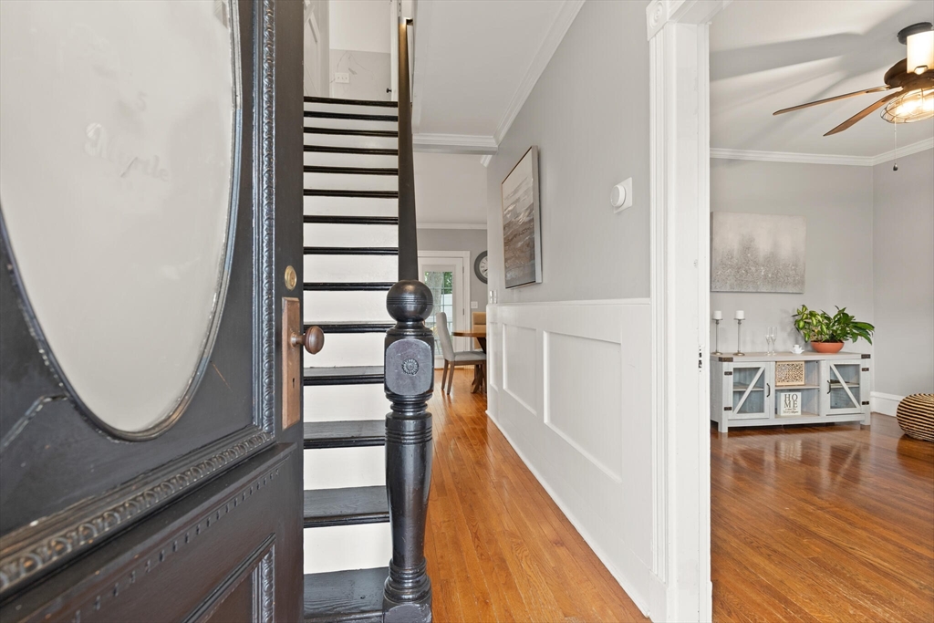 5 Myrtle St