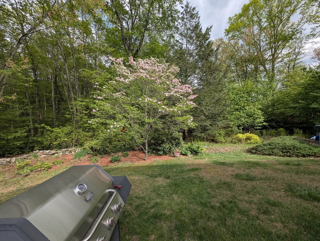 83 Haggerty Rd