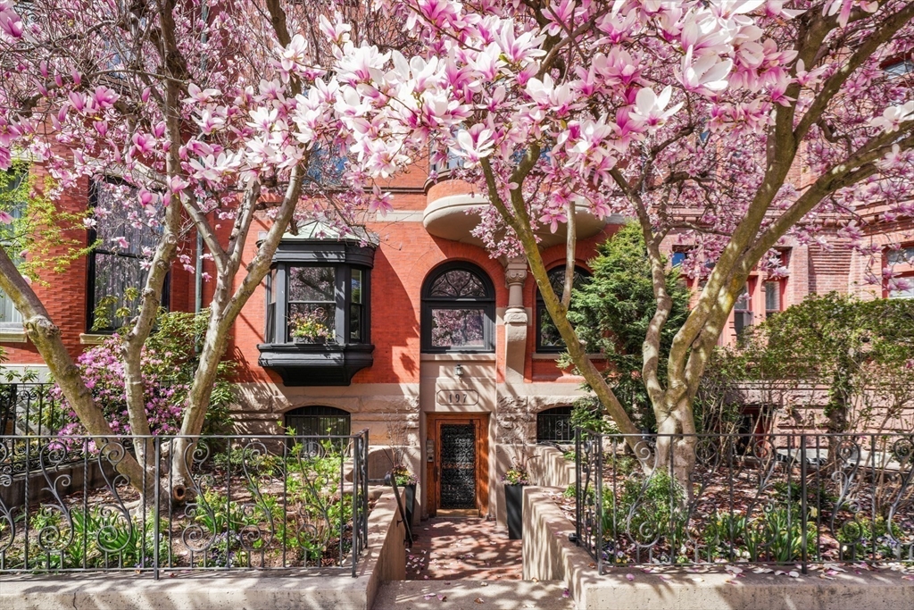 197 Commonwealth Ave 7