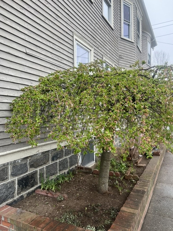168 Brook Rd 1