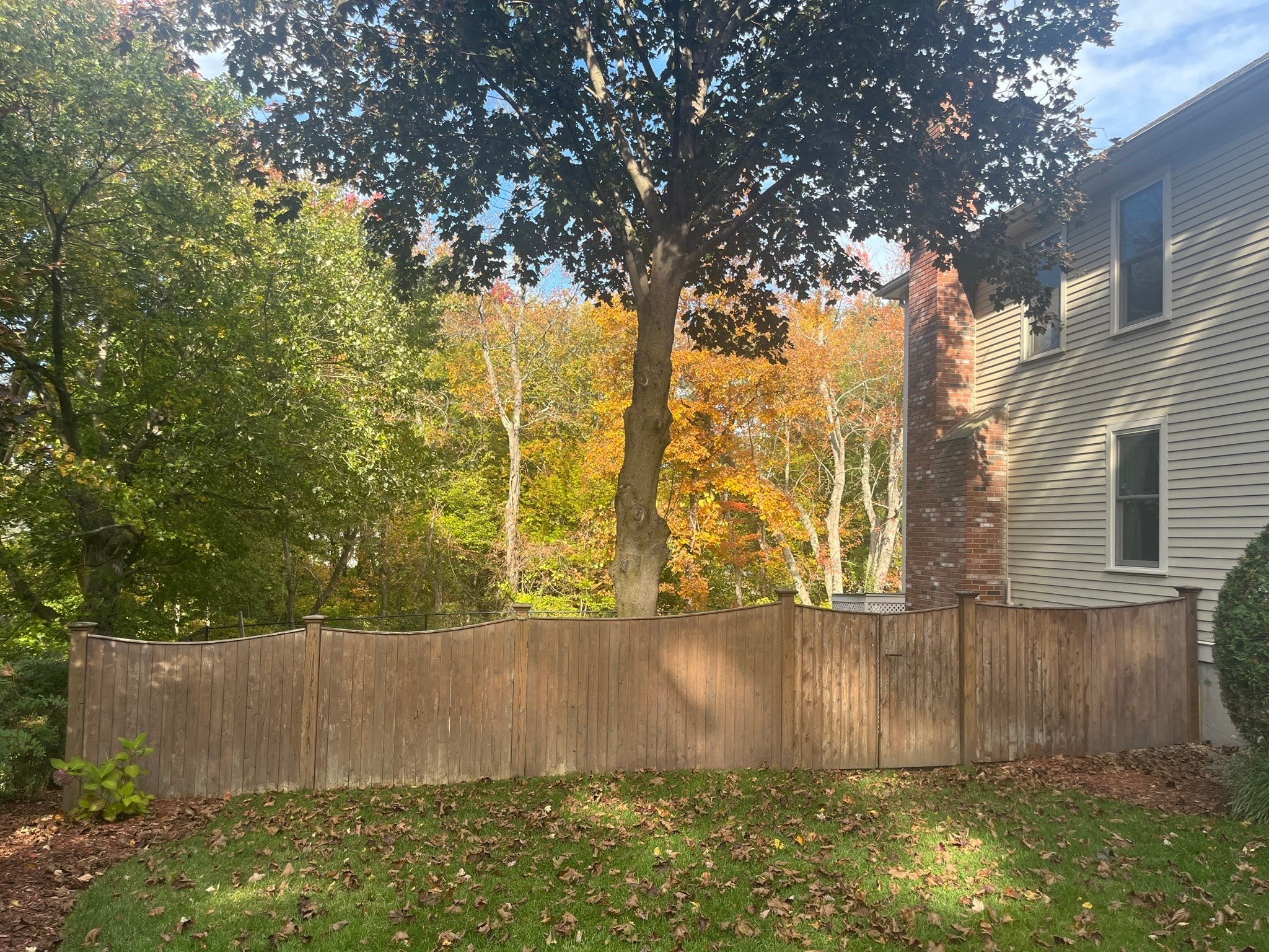 50 Thetford Ave