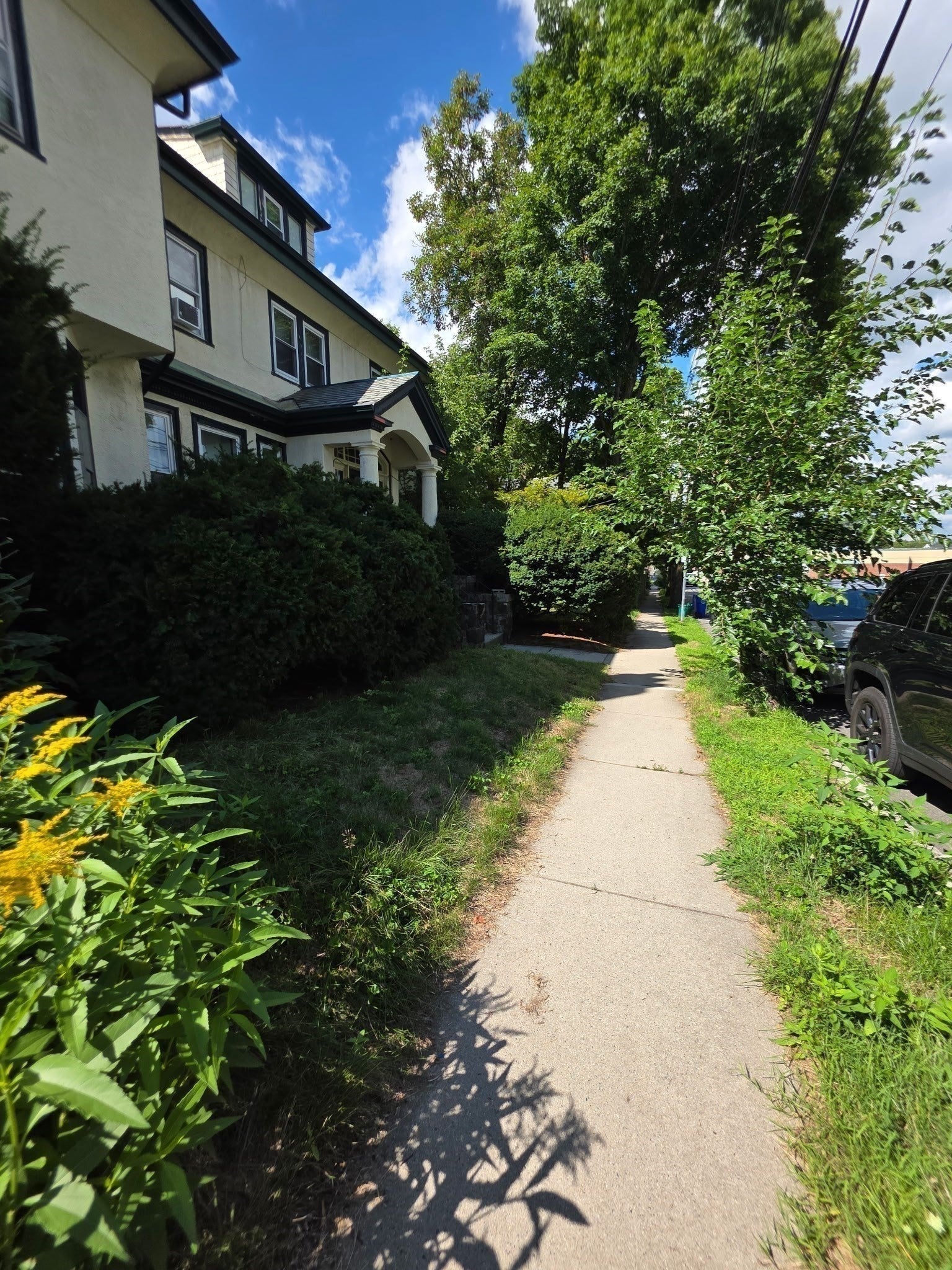 15 Bartlet Ave #TH, Arlington, MA Photo #20