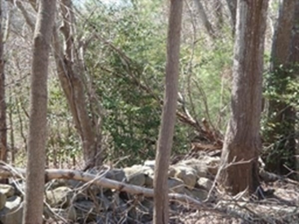 37 Rocky Gutter Street