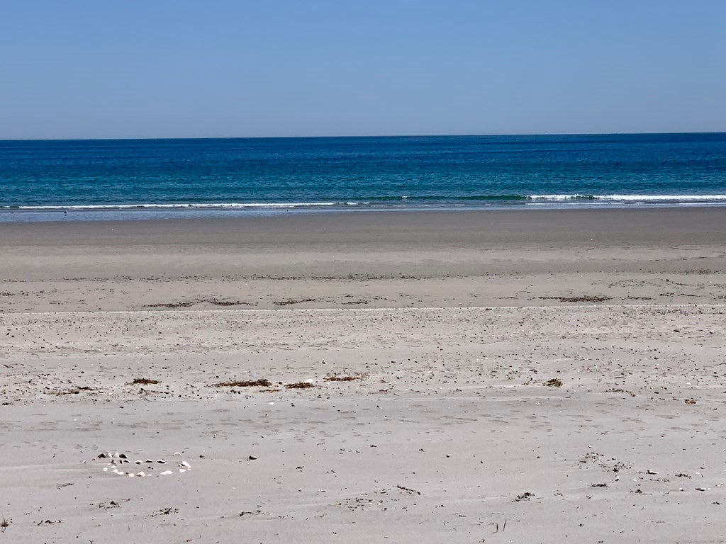 93 Beach Avenue 10/1-5/15