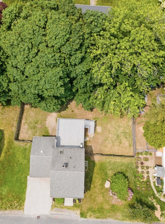 37 Saint Michaels Ave