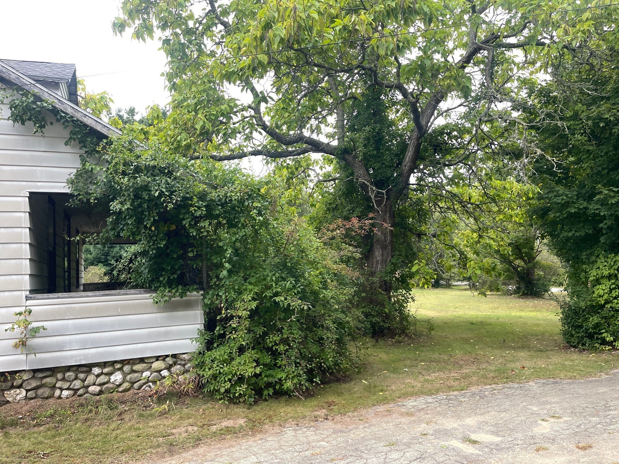 23 Taunton Street