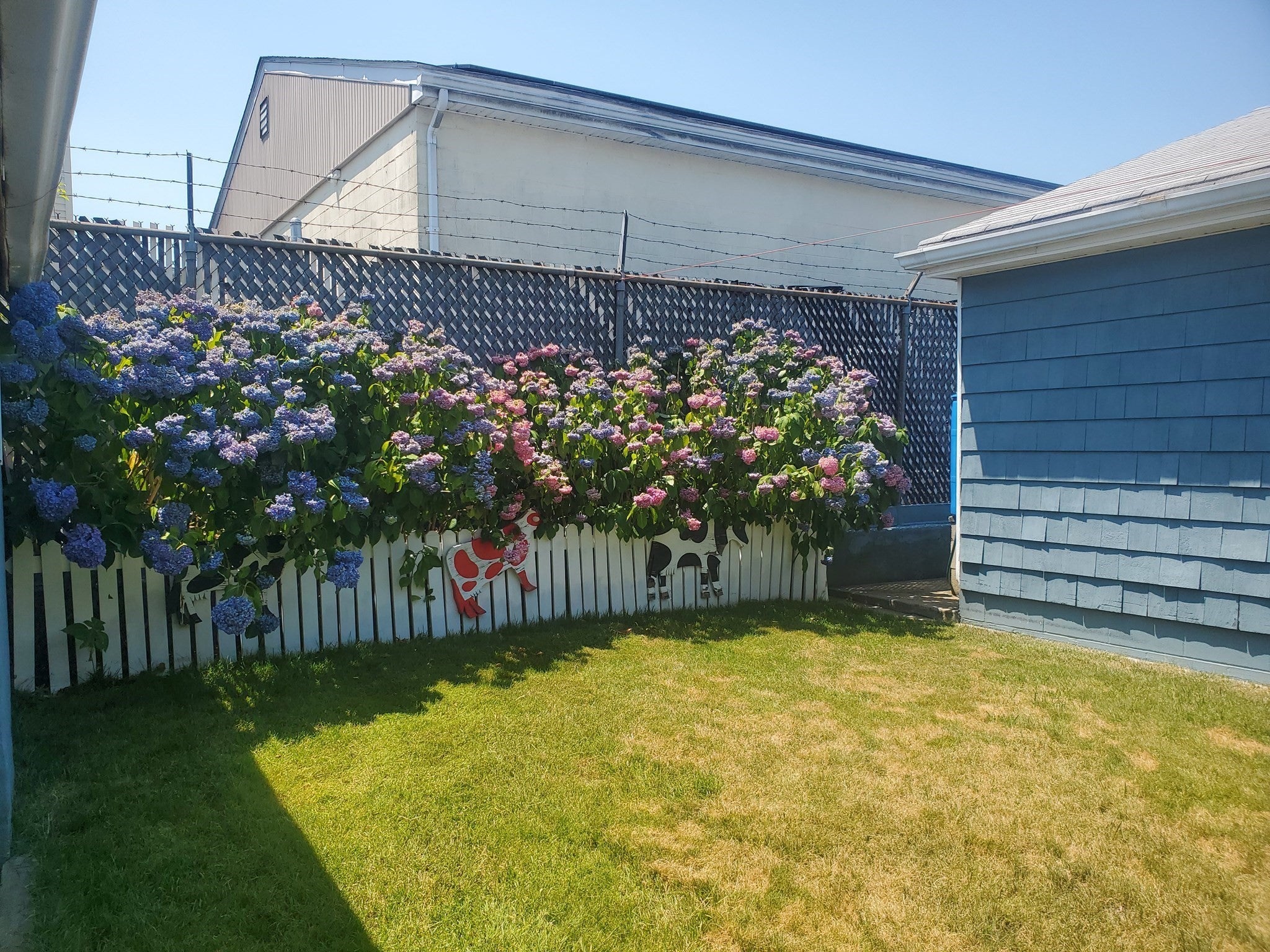 9 Briggs St, New Bedford, MA, 9 Briggs St, New Bedford, MA Photo #6
