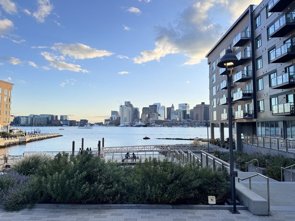 65 Lewis St 202