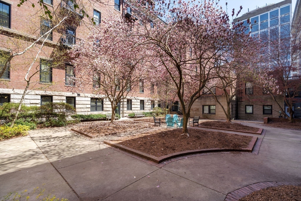 771 Harrison Ave. THA