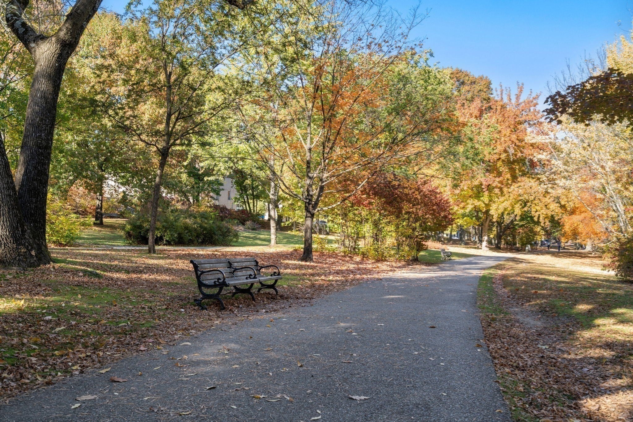 89 Glen Rd #5, Brookline, MA, 89 Glen Rd #5, Brookline, MA Photo #20