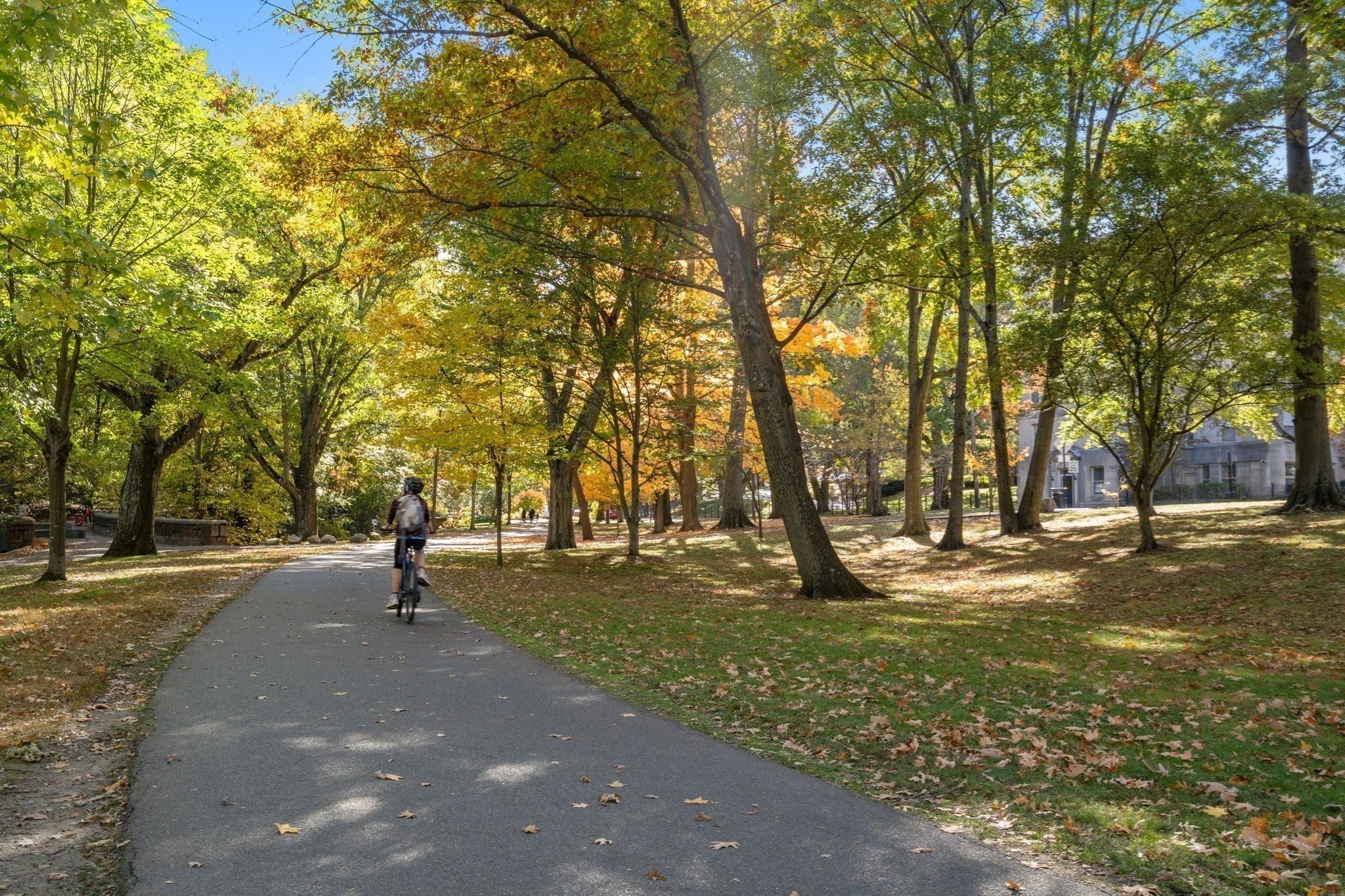 89 Glen Rd #5, Brookline, MA, 89 Glen Rd #5, Brookline, MA Photo #22