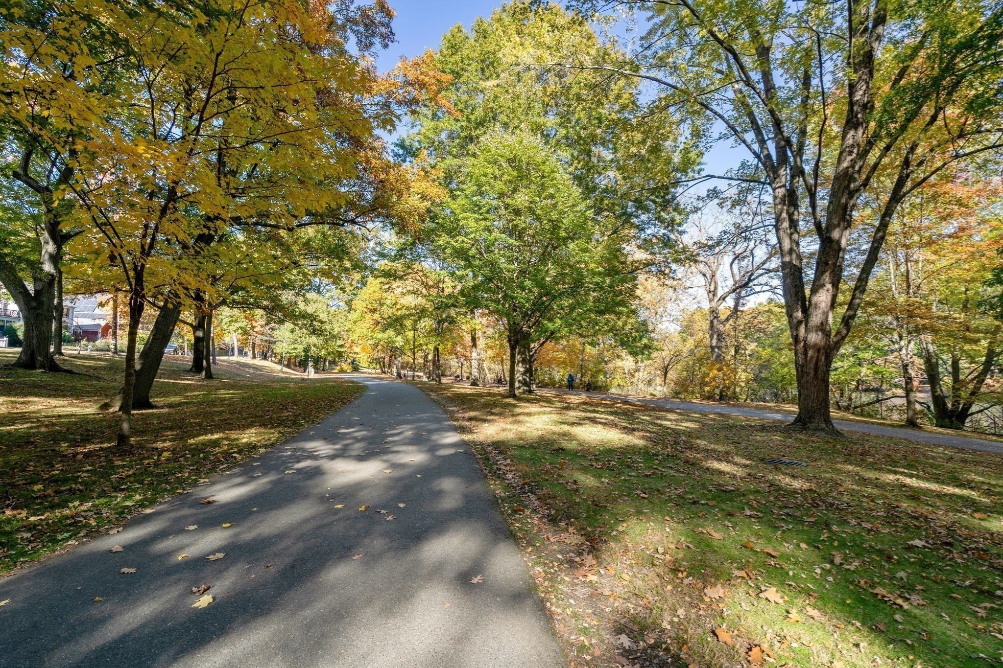 89 Glen Rd #5, Brookline, MA, 89 Glen Rd #5, Brookline, MA Photo #23
