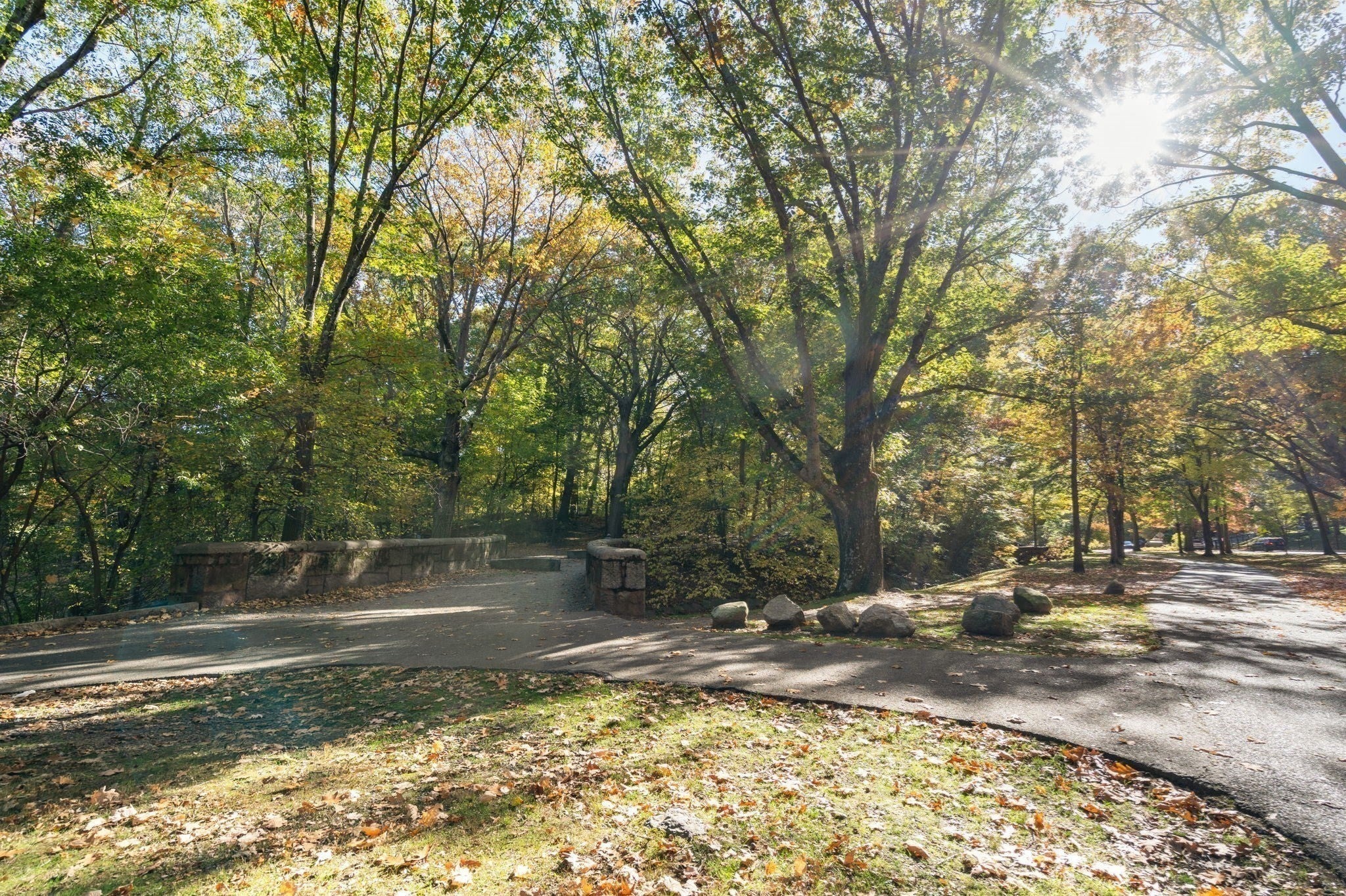 89 Glen Rd #5, Brookline, MA, 89 Glen Rd #5, Brookline, MA Photo #21