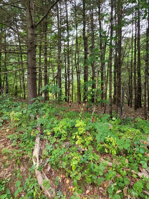 Featured picture for the property 73321390