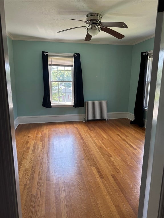 185 College St, Worcester, MA Photo #21