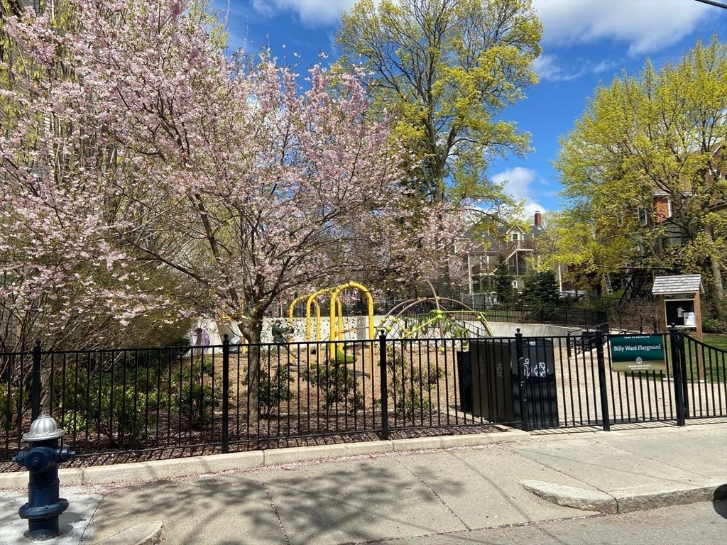 120 Brook Street #2, Brookline, MA Photo #14