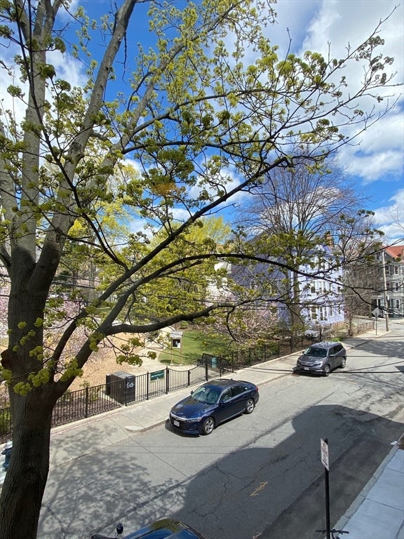 120 Brook Street #2, Brookline, MA Photo #8