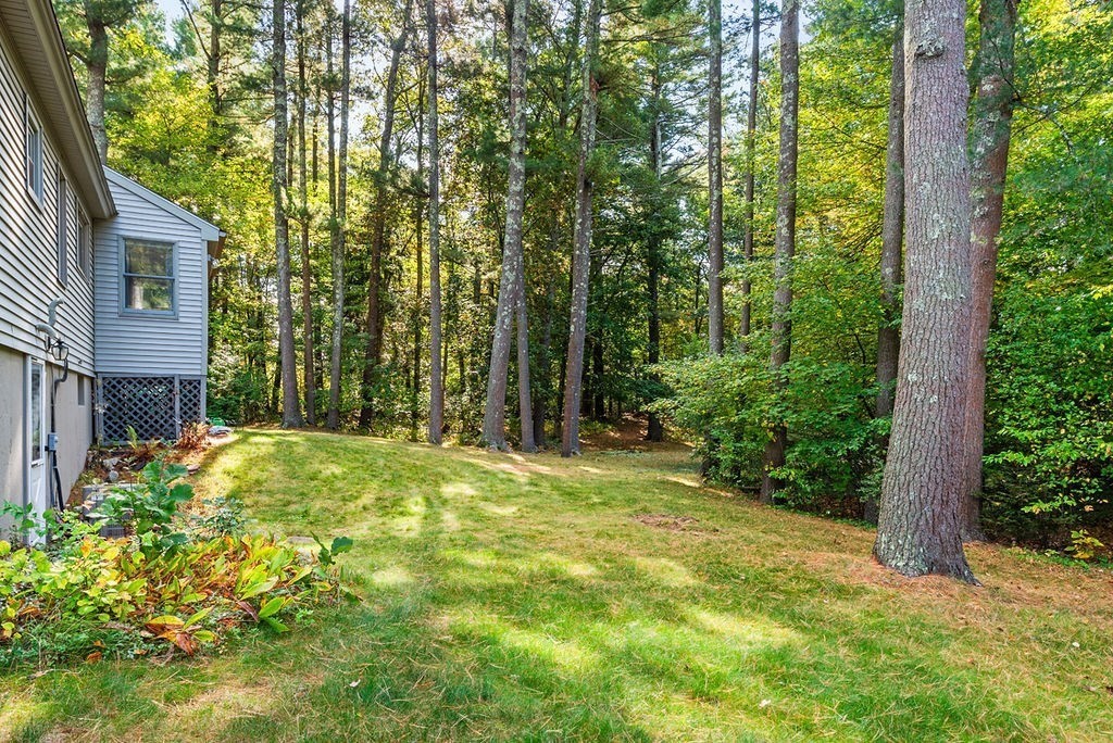 5 Pineview Ter