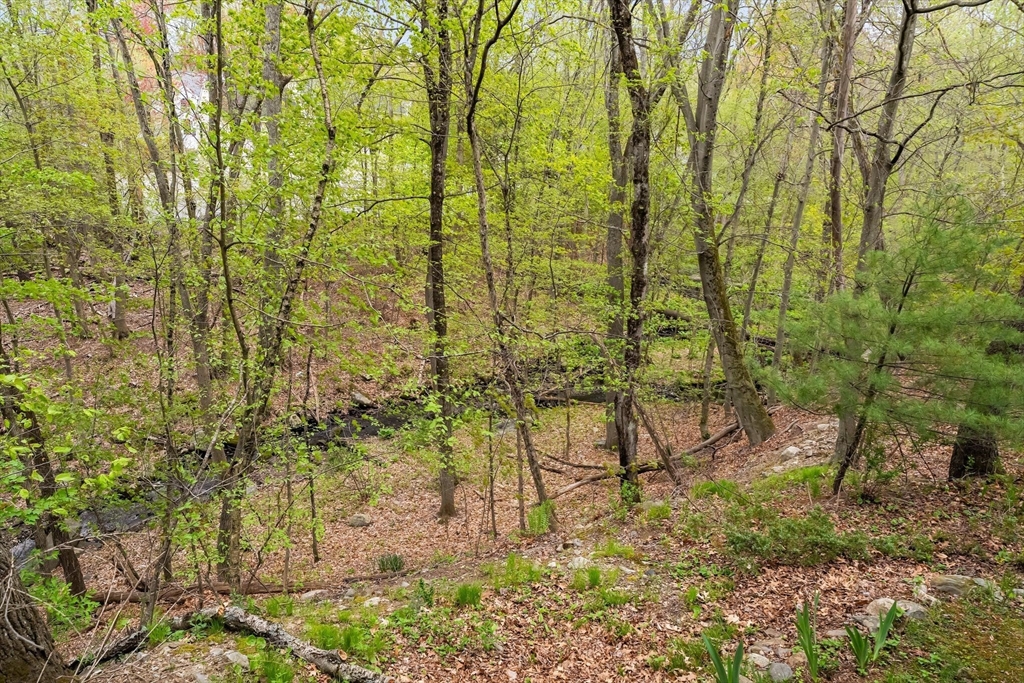 18 W Parish Ridge Rd, Haverhill, MA Photo #36