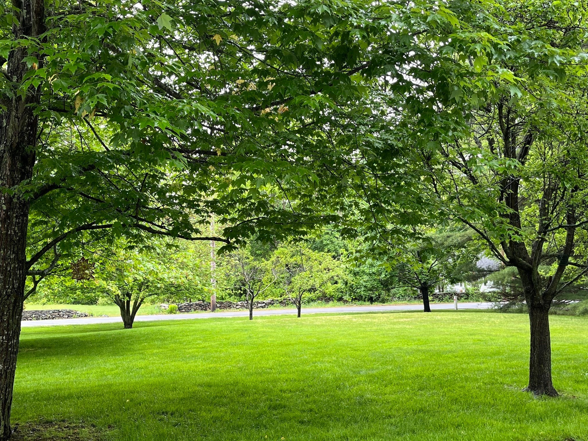 1379 Williams St, Dighton, MA, 1379 Williams St, Dighton, MA Photo #40