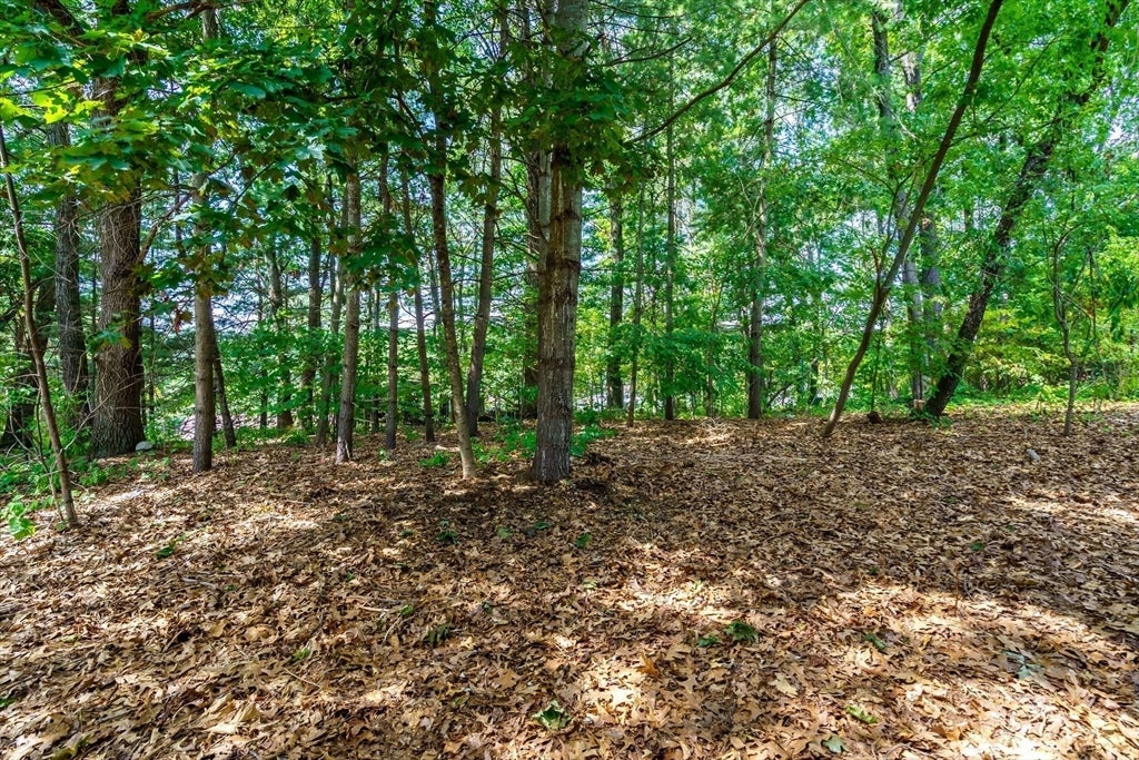 18 Ruthellen Road, Hudson, MA Photo #31