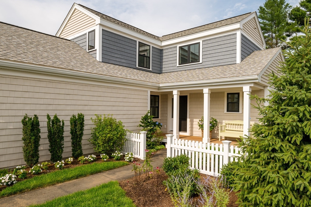 68 Bentgrass Mist 68