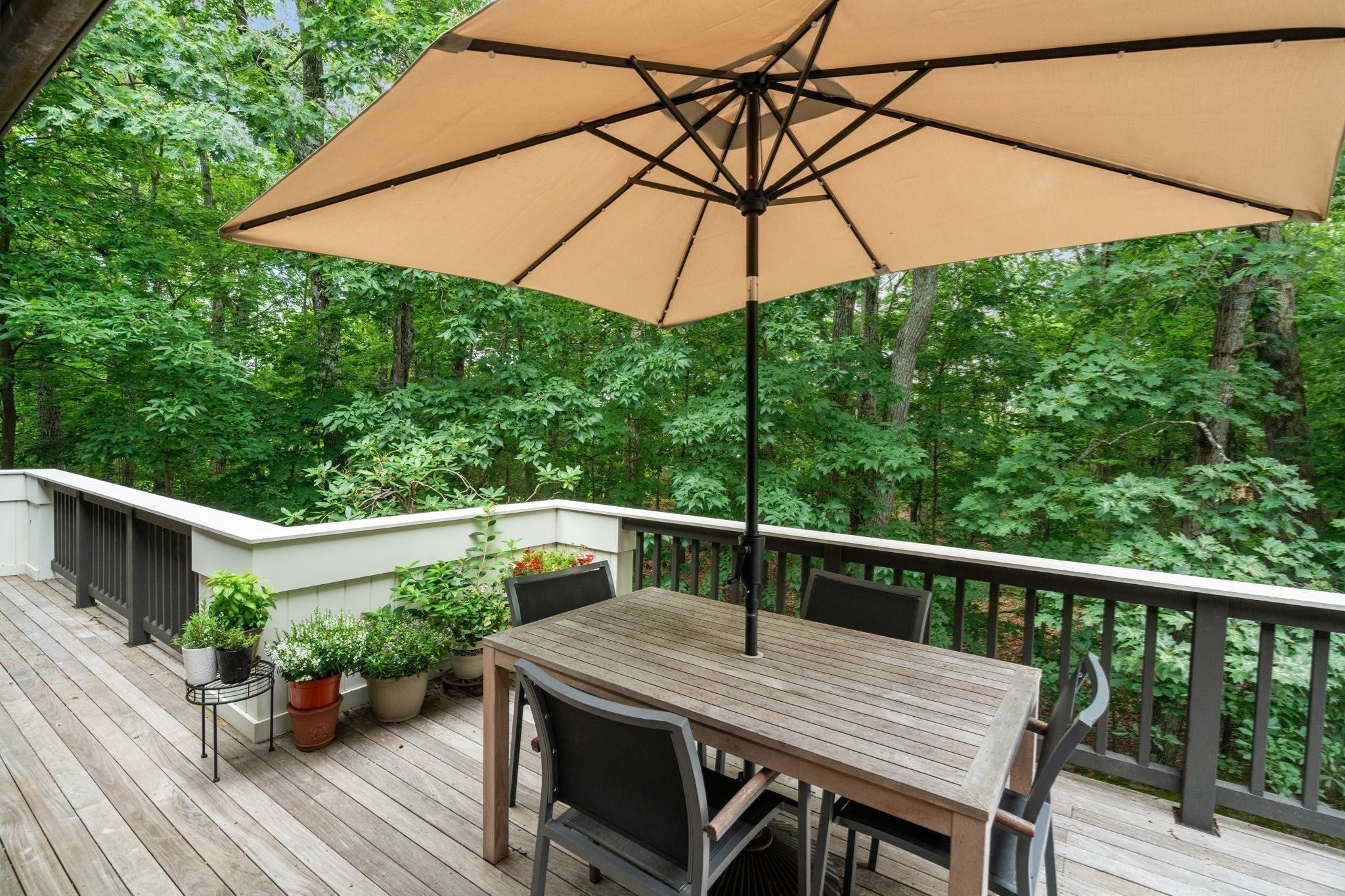 213 Nahanton St #213, Newton, MA, 213 Nahanton St #213, Newton, MA Photo #23