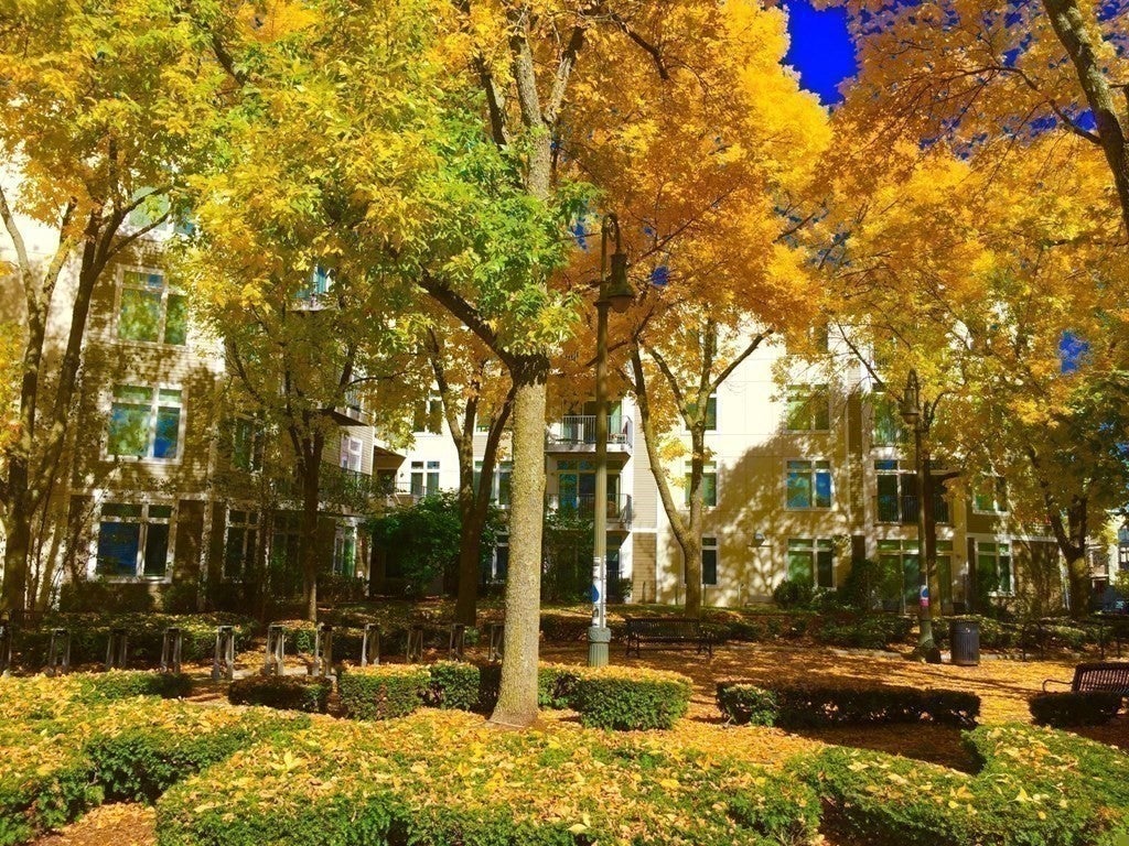 7 Cameron Ave #408, Cambridge, MA, 7 Cameron Ave #408, Cambridge, MA Photo #8