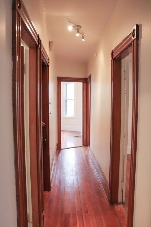 22 Gibson St #2, Boston, MA, 22 Gibson St #2, Boston, MA Photo #19