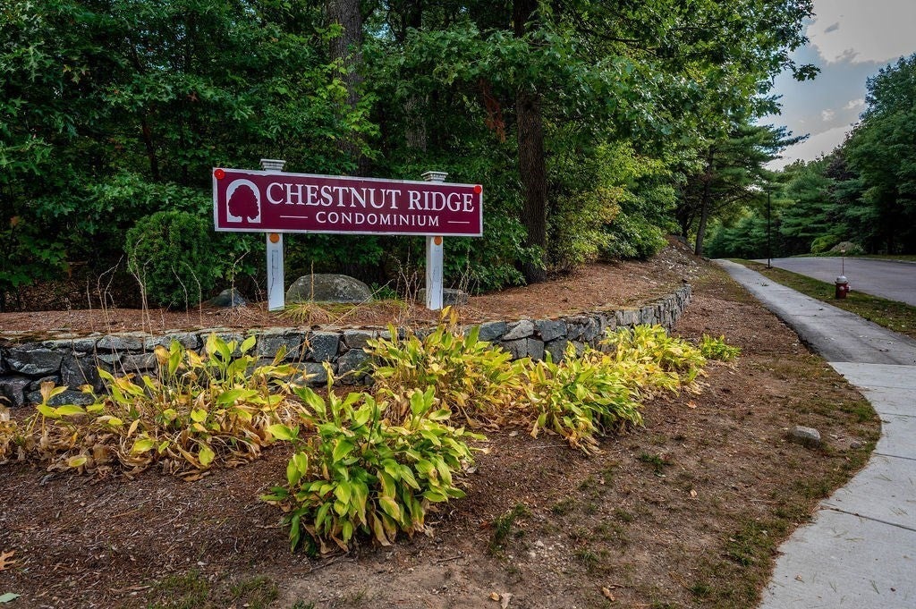 10 Crab Apple Lane #10, Franklin, MA, 10 Crab Apple Lane #10, Franklin, MA Photo #8