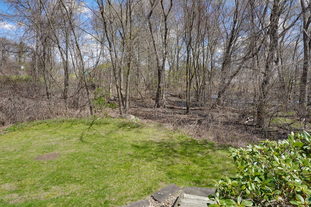 3 Elizabeth Ave