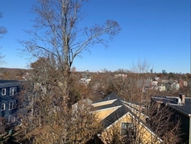 59 Saint Rose St #3, Boston, MA Photo #8