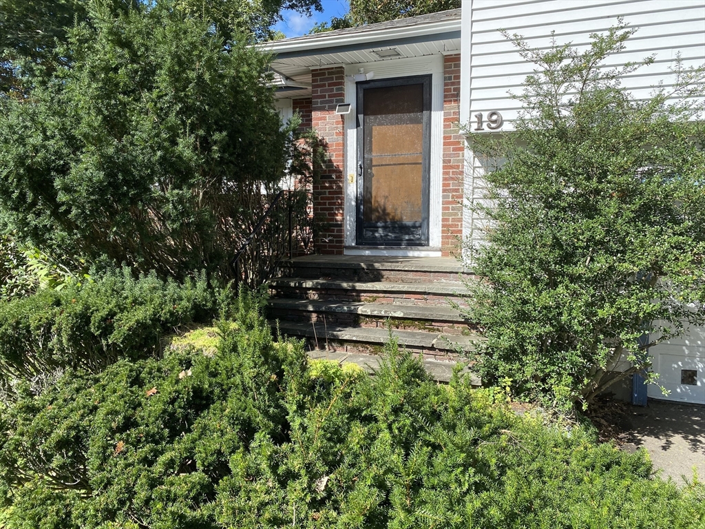 19 Cynthia Rd