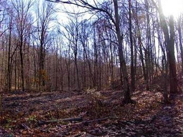 480 Mountain Road