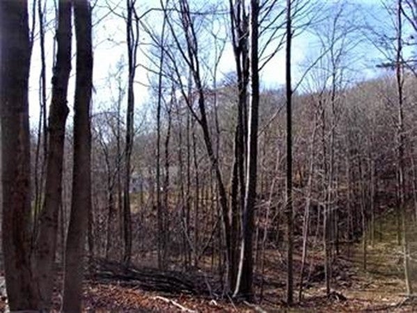 480 Mountain Road