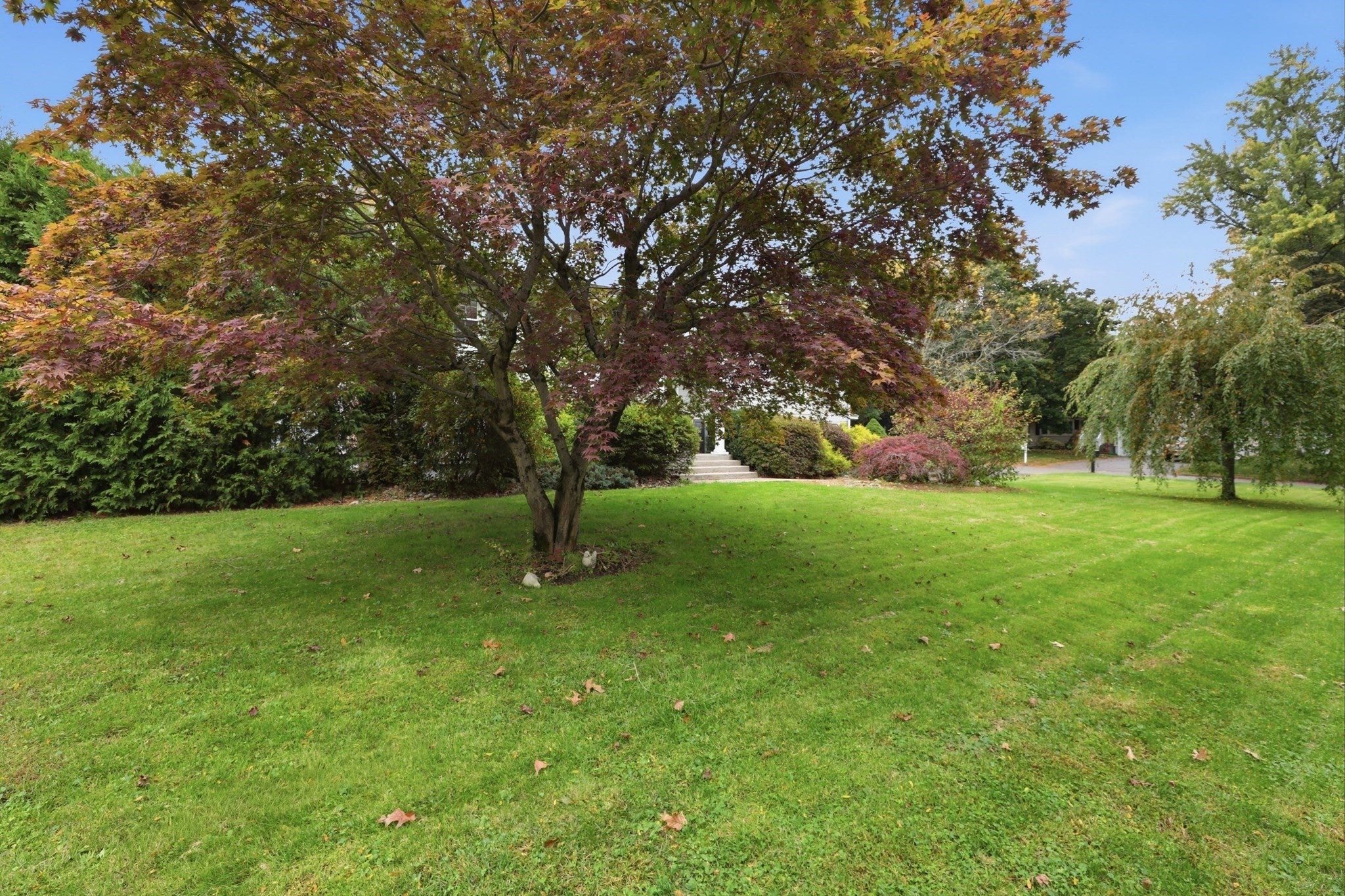 684 Maple Rd, Longmeadow, MA, 684 Maple Rd, Longmeadow, MA Photo #4