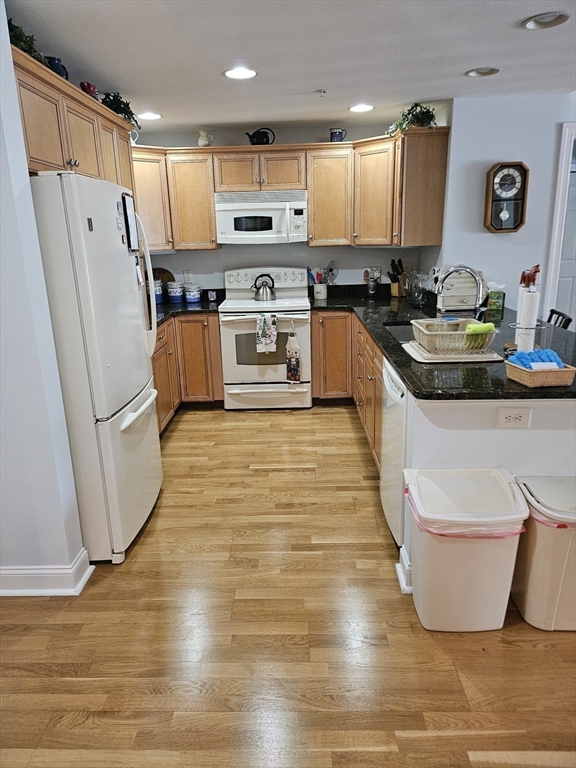 1217 Emerald Court 1217