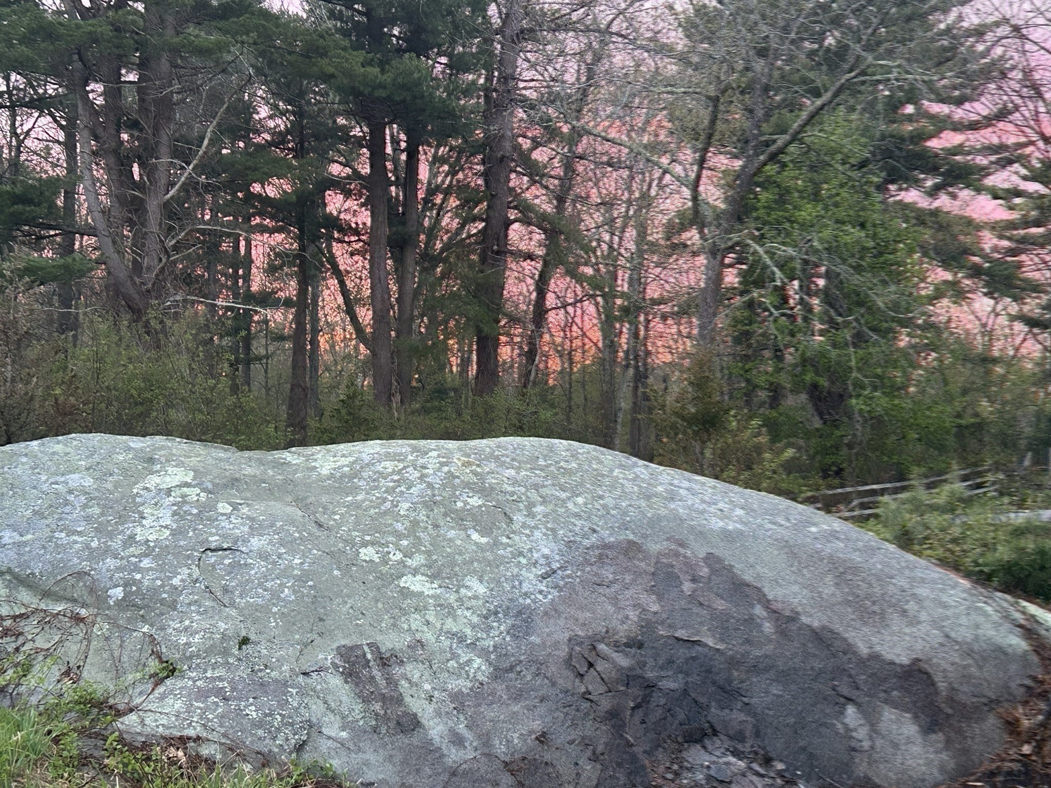 5 Roberts Ct, Gloucester, MA Photo #39