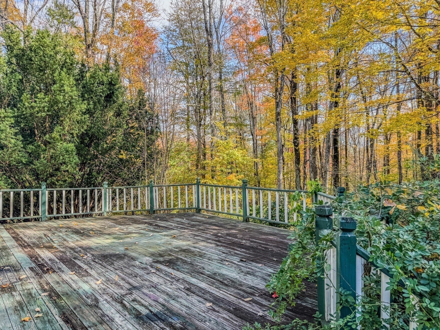 65 Thayer Hill Road, Worthington, MA, 65 Thayer Hill Road, Worthington, MA Photo #29