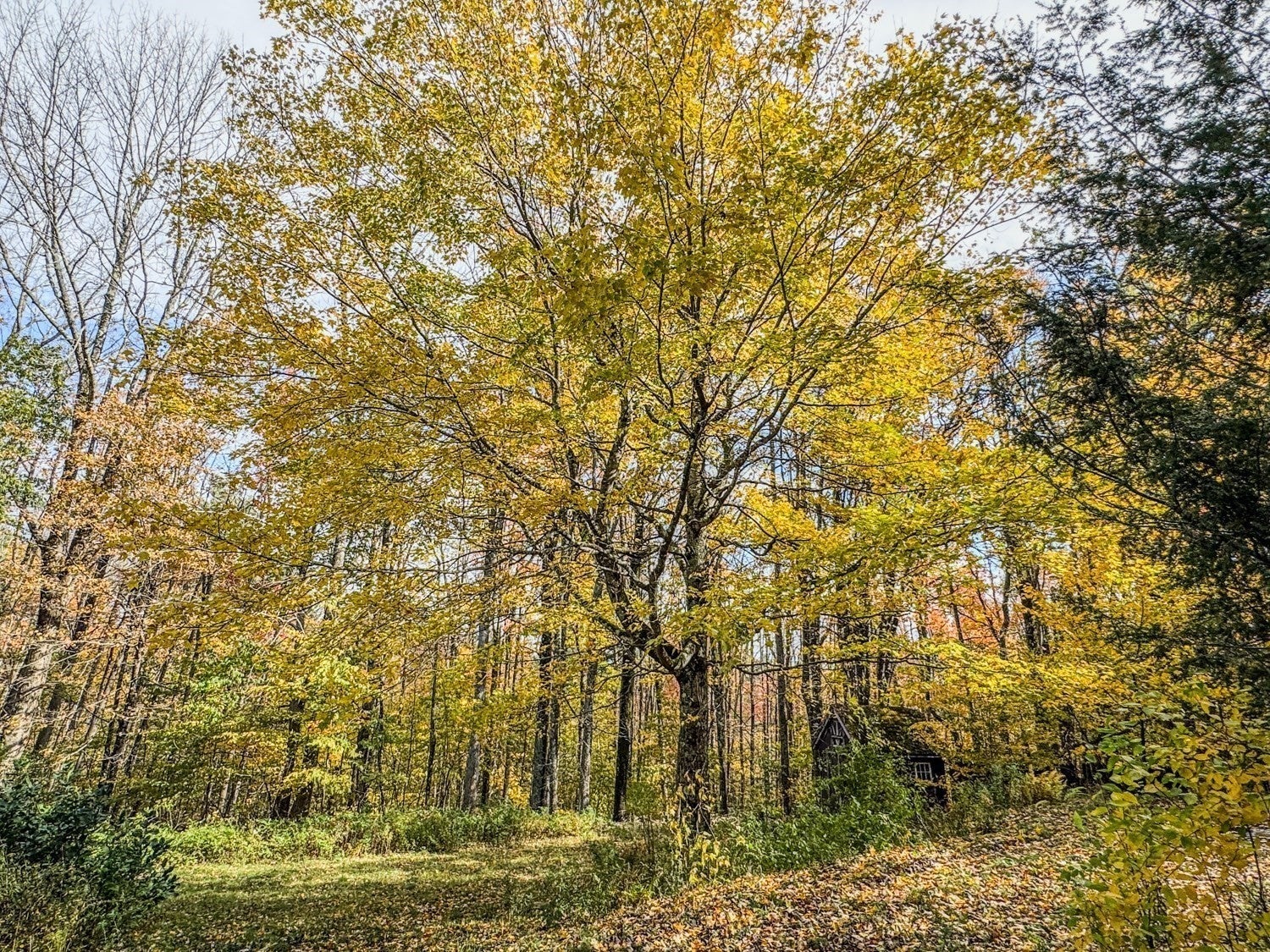 65 Thayer Hill Road, Worthington, MA, 65 Thayer Hill Road, Worthington, MA Photo #31