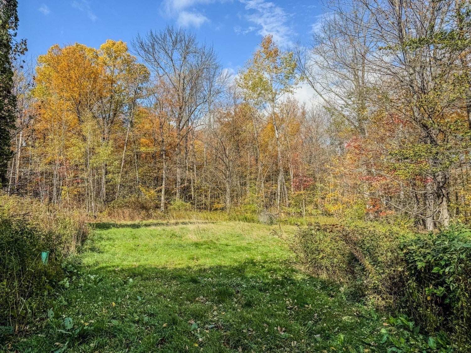 65 Thayer Hill Road, Worthington, MA, 65 Thayer Hill Road, Worthington, MA Photo #35