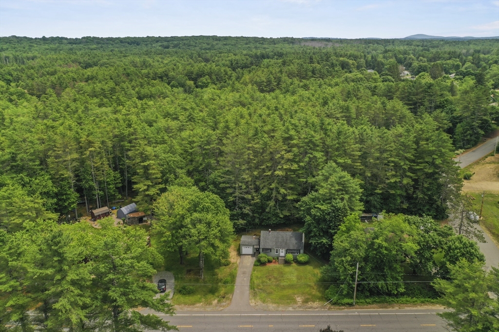 49 Winchendon Road