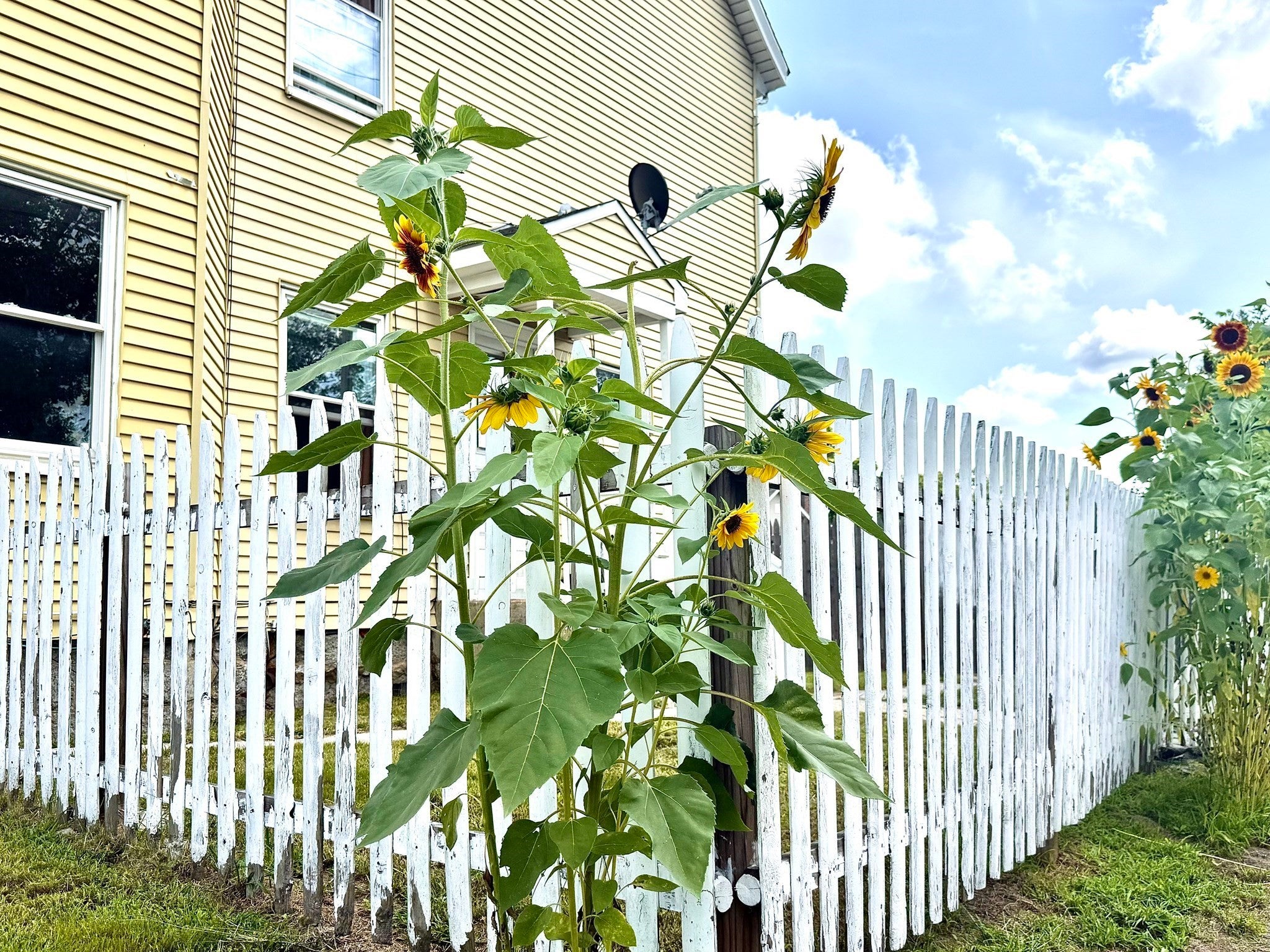 272 South Street, Fitchburg, MA Photo #6