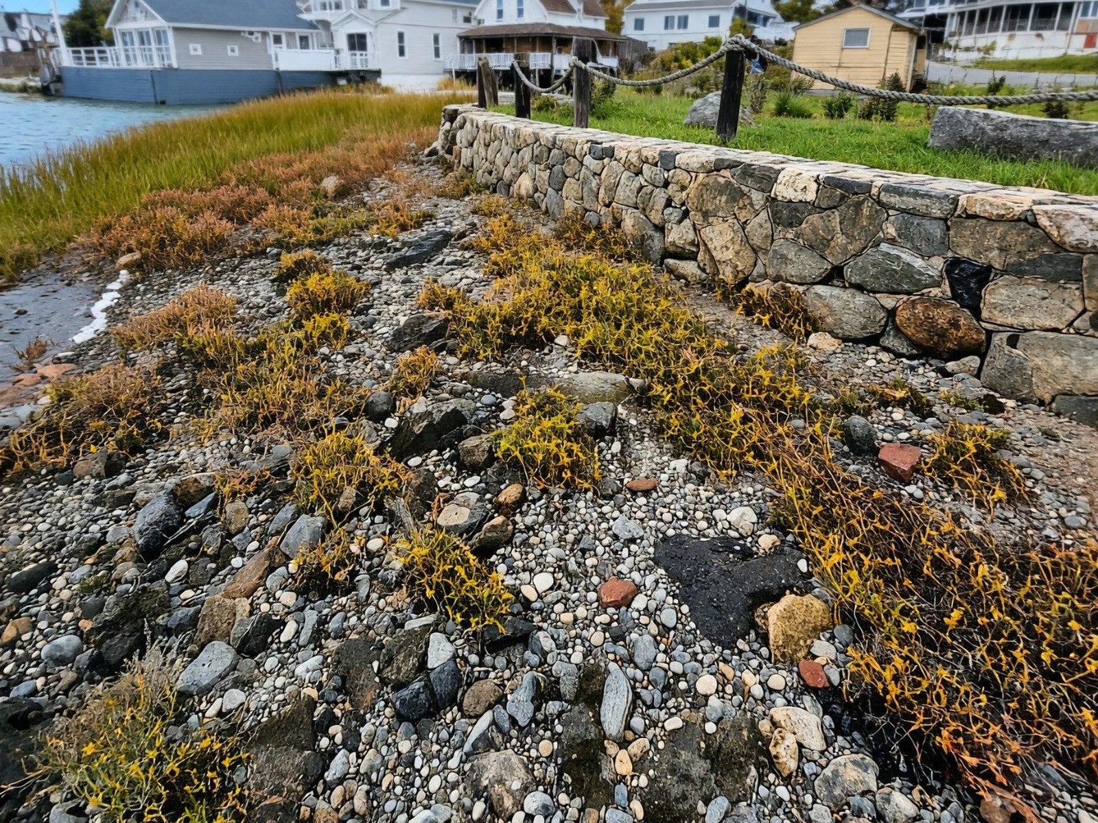 15 Bay St, Hull, MA, 15 Bay St, Hull, MA Photo #6