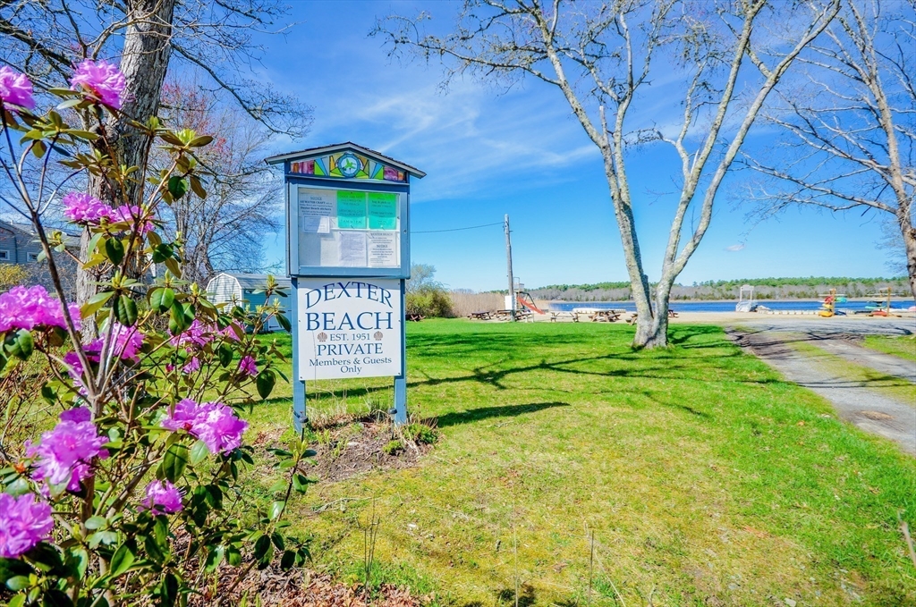 82 Dexter Road